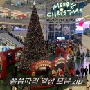 이마트24 일산라페스타점 | 쫌쫌따리 올해 마무리🎄 생일주간 + 연말모드 일상.zip