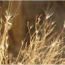 자연속에서-산 이미지