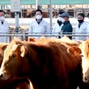 김영록농장 이미지