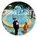 [아기랑갈만한곳]합천 정양레포츠공원 물놀이 모래놀이