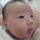 자연 단유 후기(기간, 젖몸살, 마사지, 단유 장단점)
