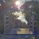 모항농장 이미지