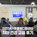 SKY동물병원 | 반려동물 치아 관리, 왜 중요할까? 인천SKY동물메디컬센터(스카이동물병원) &#39;치아 건강 교실&#39; 후기