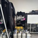 토끼발 | 생초보 다이버가 제주다이브클럽 방문하여 제주체험스쿠버다이빙 신나게 인어공주 놀이한 후기