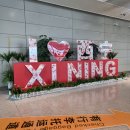칭하이 | 중국 칭하이 여행 추천 날씨 숙소 준비물 정보 일월산...타얼스 가는 법 투어 신청 방법 내돈내산 후기