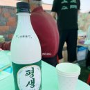 장길안 네이버블로그