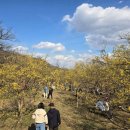 ICHEON17 코리아헤럴드