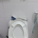 남사직4길 | 금산읍 아인리 원룸 양변기 막힘 뚫기, 관통기로 깔끔하게 해결