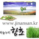 좋은마켓진안산 이미지