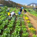 기흥2농장 이미지