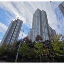 포항시북구35 이미지