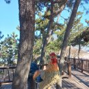 동호목장 이미지