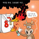 'Netizen 시사만평(時事漫評)떡메' '2023. 8. 09'(수) 이미지