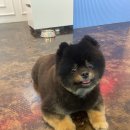 살롱드삐삐 이미지