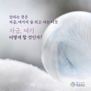 여기서지금 이미지