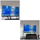 타이어판다 이미지