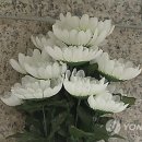 프리드라이프서울중앙 이미지