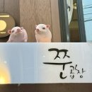 [홍대/연남] 홍대 거리 10년 차 곱창 맛집 쭌곱창 l 메뉴, 주차