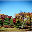 경정장후문 이미지