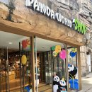 판다샵(Panda Shop) 네이버블로그