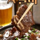 참하누리