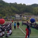 옥길버들초 이미지