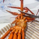 박달삼거리_서 | 강릉 주문진어민수산시장 장군이네 박달홍게 내돈내산 주차 및 꽉찬 홍게 고르는 법 홍게 대게