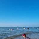 리틀미코노스8 이미지