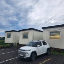 퐁낭에염 이미지