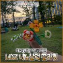 [제품리뷰] LOZ 나노블럭 플라워 레고 꽃다발 가성비 버전 구매 및 조립 후기