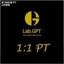 랩 지피티짐 이미지