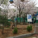 오정동 주민센터 이미지