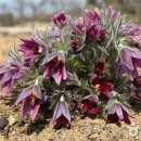 식물원 정자옆 이미지