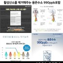 알카리수