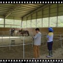 곡성-169 이미지