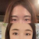 이쁘지애 이미지