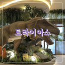 삼삼패밀리 이미지