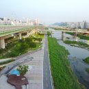 안양천 다목적광장 이미지