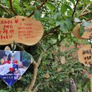 제주민속촌 이미지