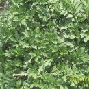 순일농장 이미지