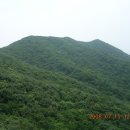2008년8월17일 일요일 제24회서울산마루산악회 인천 중구 무의도,호룡곡산(244m)정기산행 이미지