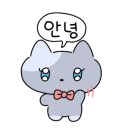 예뻐질고양 네이버블로그