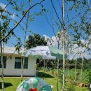 쉼 토평리 이미지