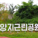 양지테니스장 이미지