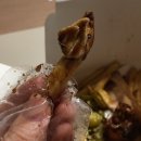 푸라닭명륜점 이미지