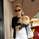 리치동물병원 이미지