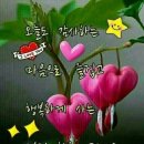 창원이화약국 이미지