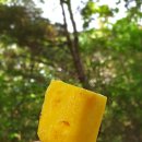 홈인팜스 이미지