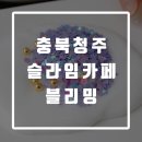 [여행] 청주 힐링 여행기 / 청주 블리밍슬라임카페에서 하퐁말,엘머스 슬라임 만든 후기!