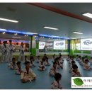 용인대능동태권도 이미지